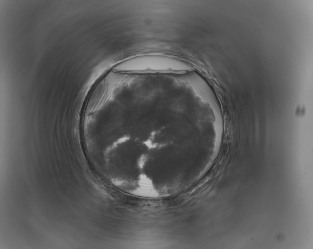 X0000094350099200711301411