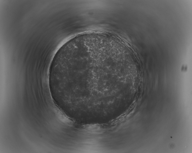 X0000094350100200711301411