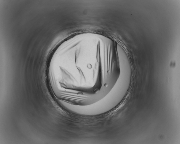 X0000094350101200711301411
