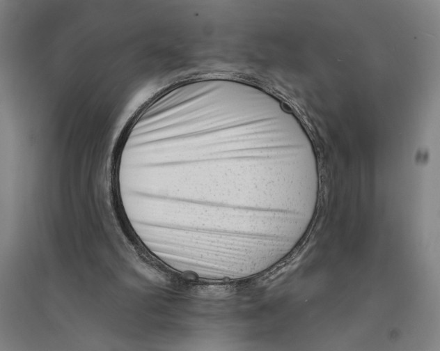 X0000094350102200711301411