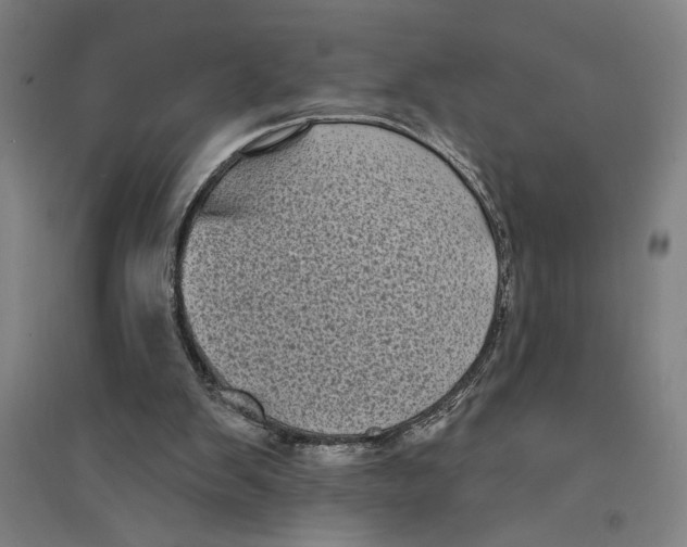 X0000094350103200711301411