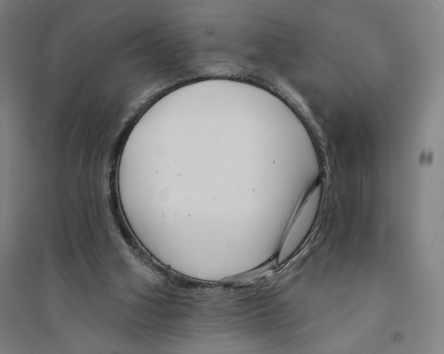 X0000094350106200711301411