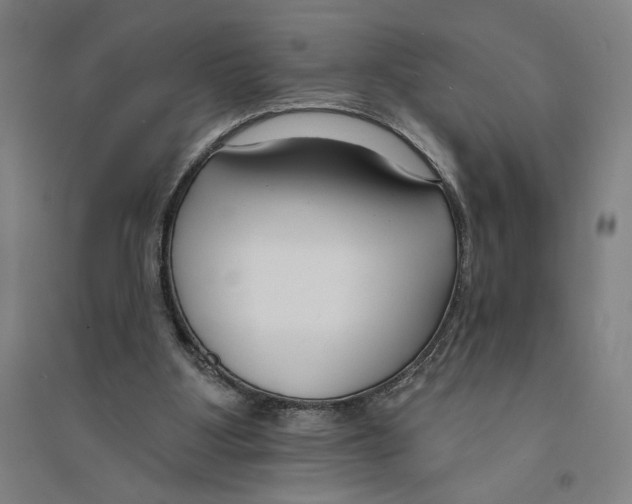 X0000094350107200711301411