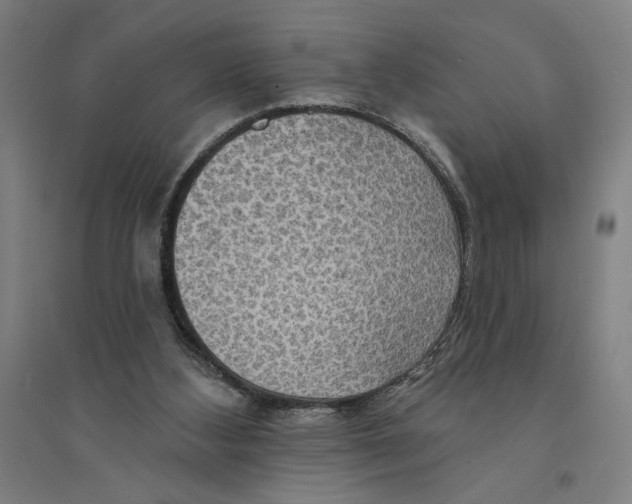 X0000094350108200711301411
