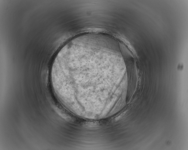 X0000094350110200711301411