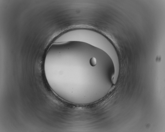 X0000094350111200711301411