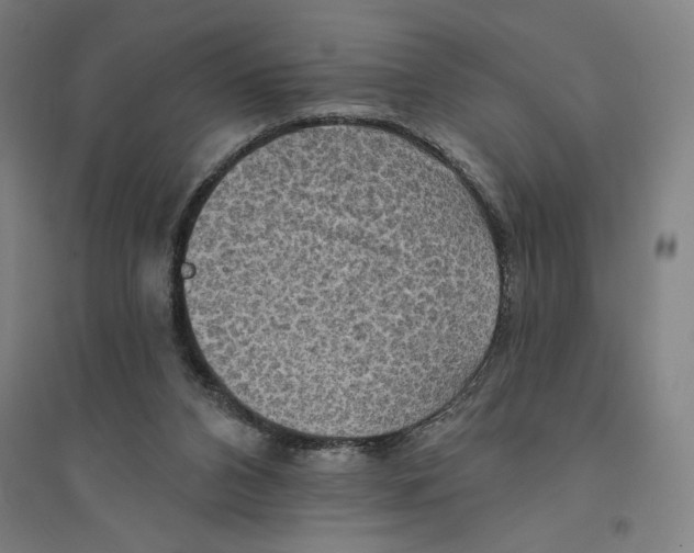 X0000094350112200711301411