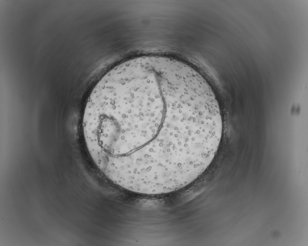 X0000094350115200711301411