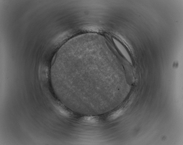 X0000094350117200711301411