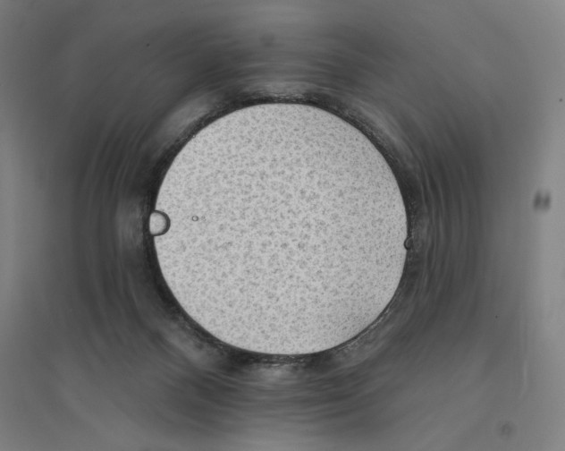 X0000094350120200711301411