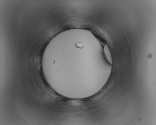 X0000094350121200711301411