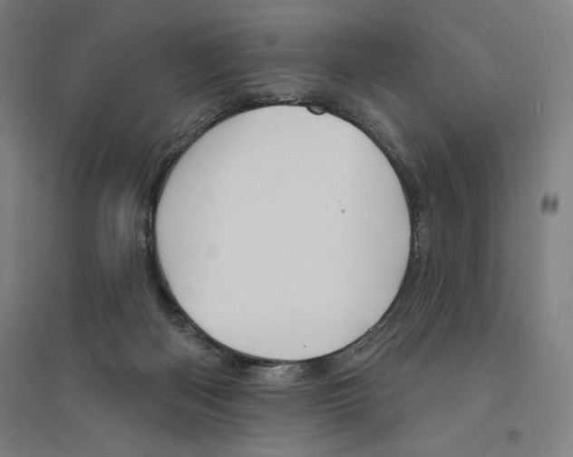 X0000094350122200711301411