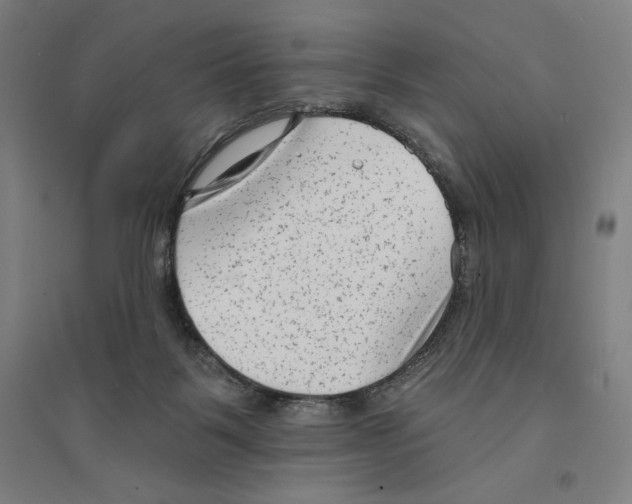 X0000094350123200711301411