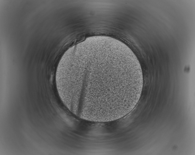 X0000094350124200711301411