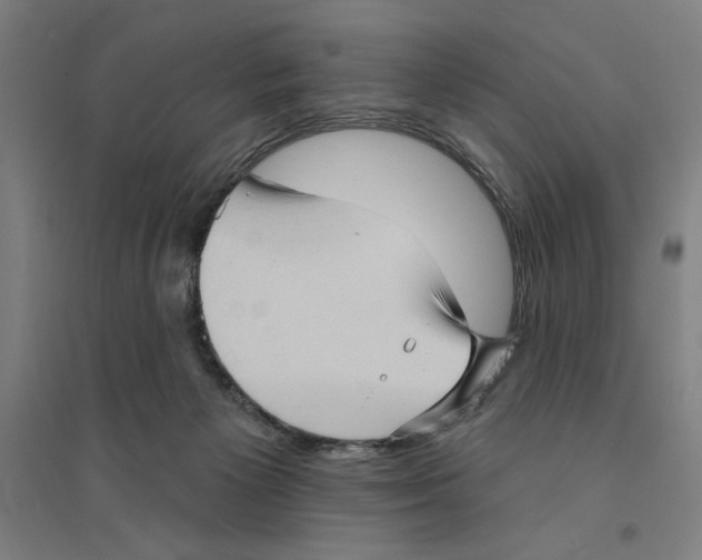 X0000094350125200711301411