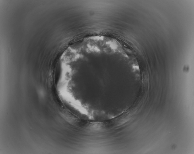X0000094350127200711301411