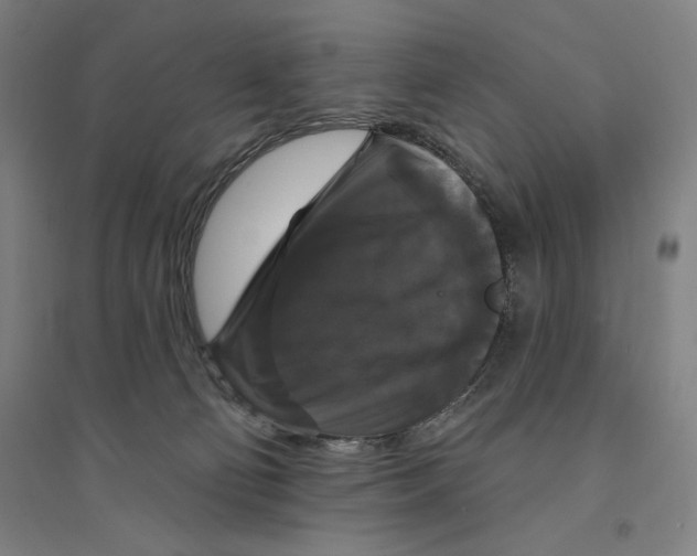 X0000094350130200711301411