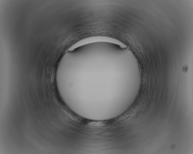 X0000094350133200711301410