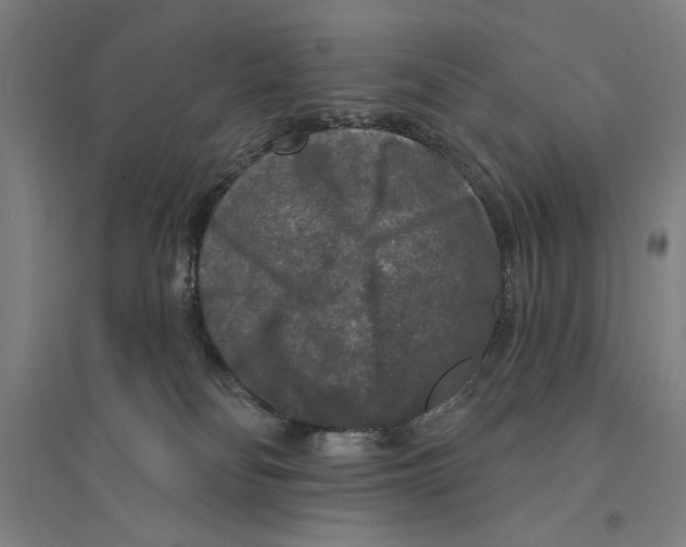 X0000094350134200711301410