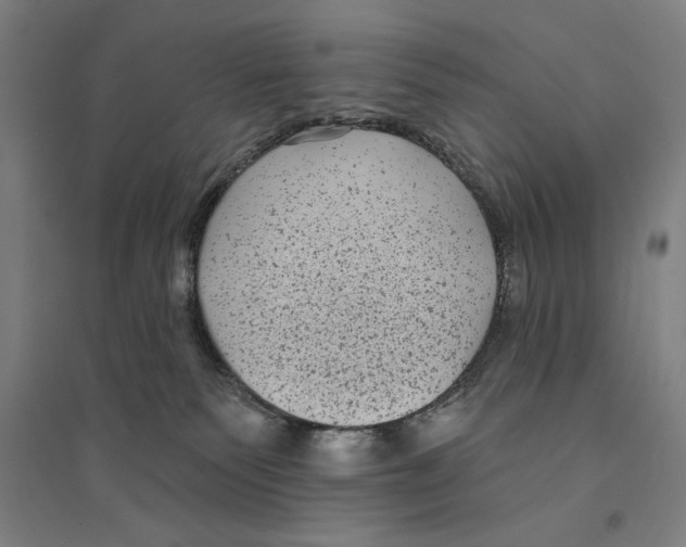 X0000094350135200711301410