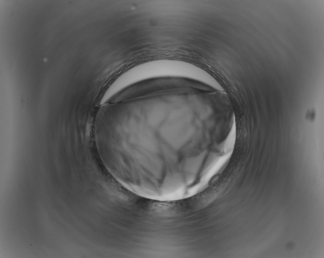 X0000094350139200711301410