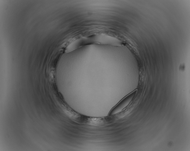X0000094350141200711301410