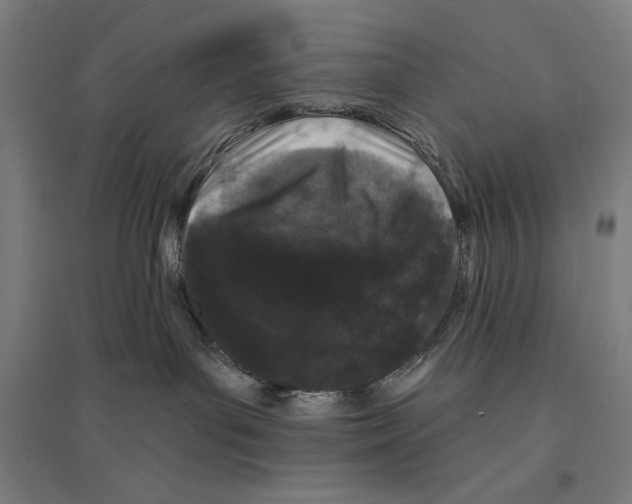 X0000094350143200711301410