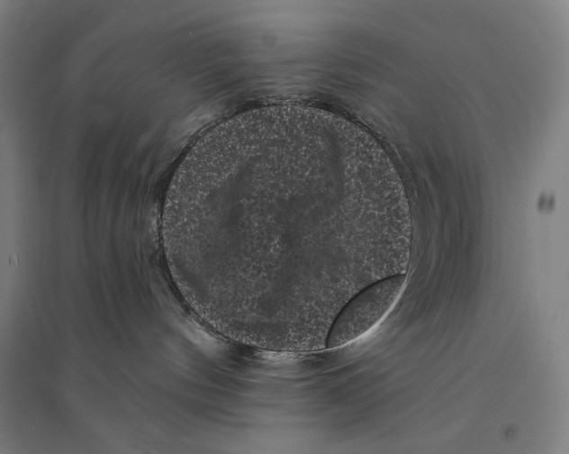 X0000094350144200711301410