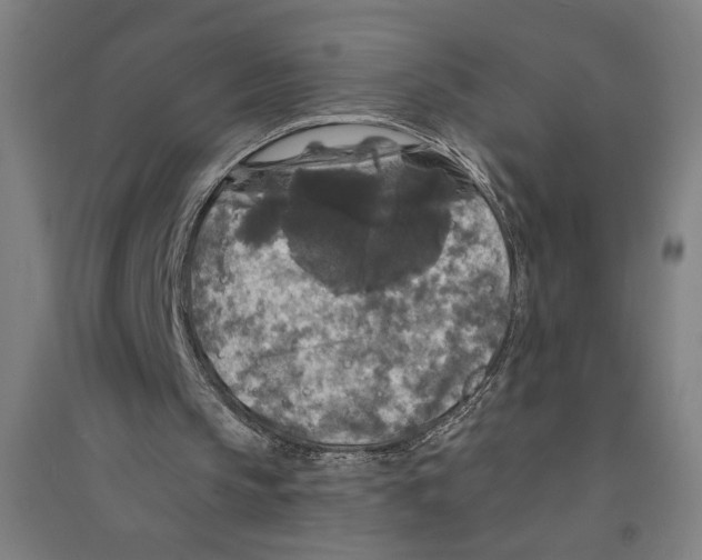 X0000094350145200711301410