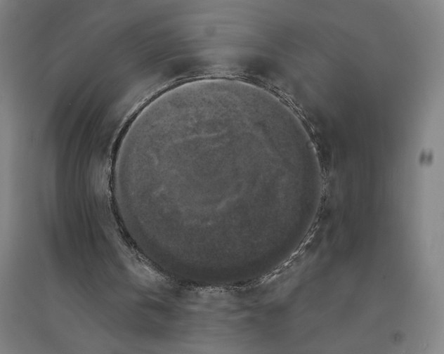 X0000094350146200711301410