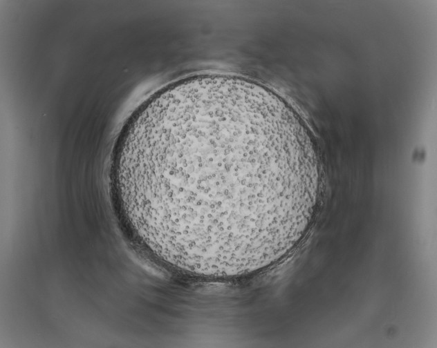 X0000094350151200711301410