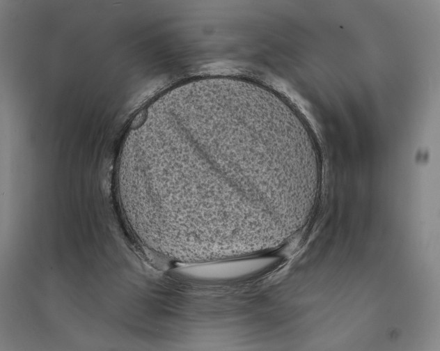 X0000094350153200711301410