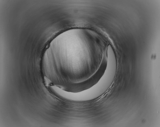 X0000094350154200711301410