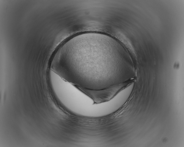 X0000094350156200711301410