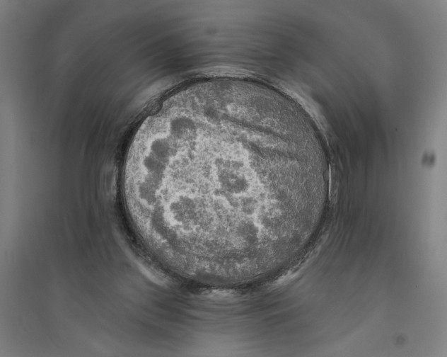 X0000094350157200711301410