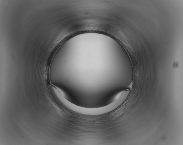 X0000094350160200711301410