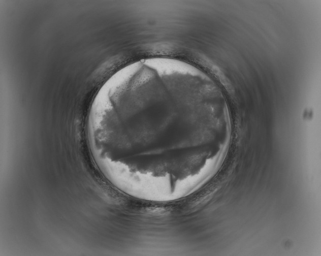 X0000094350161200711301410
