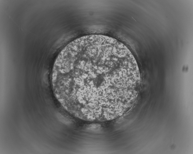 X0000094350162200711301410