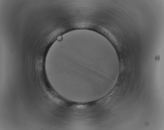 X0000094350163200711301410