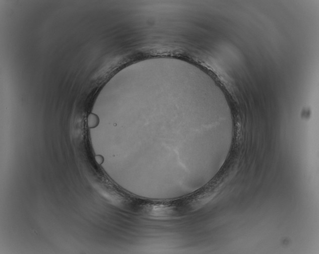 X0000094350165200711301410