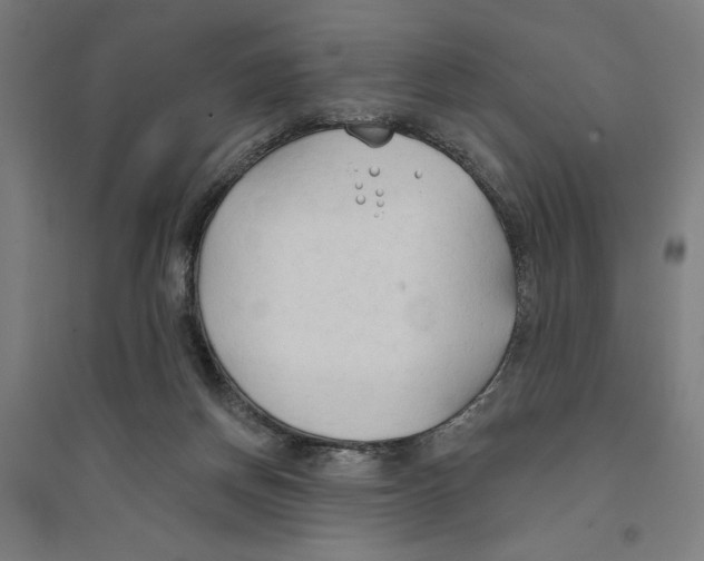 X0000094350166200711301410