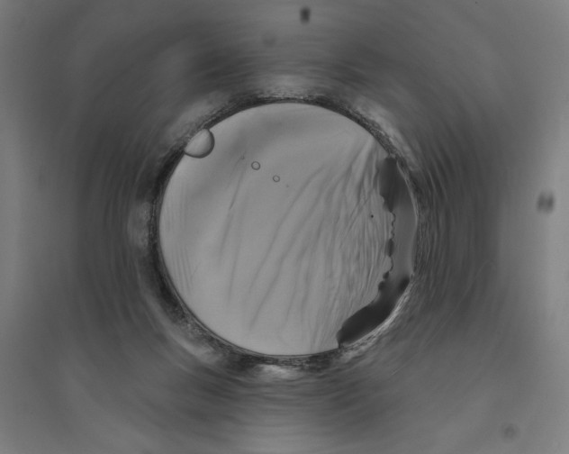 X0000094350167200711301410