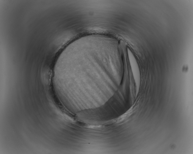 X0000094350168200711301410