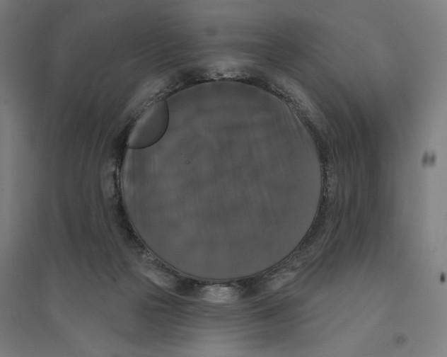 X0000094350169200711301410