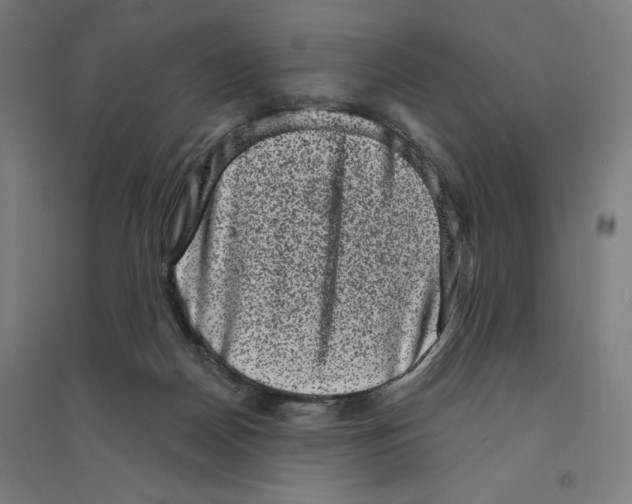 X0000094350170200711301410