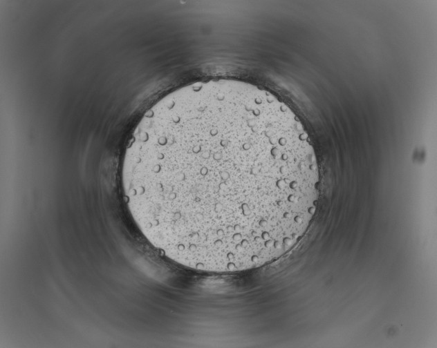 X0000094350171200711301410