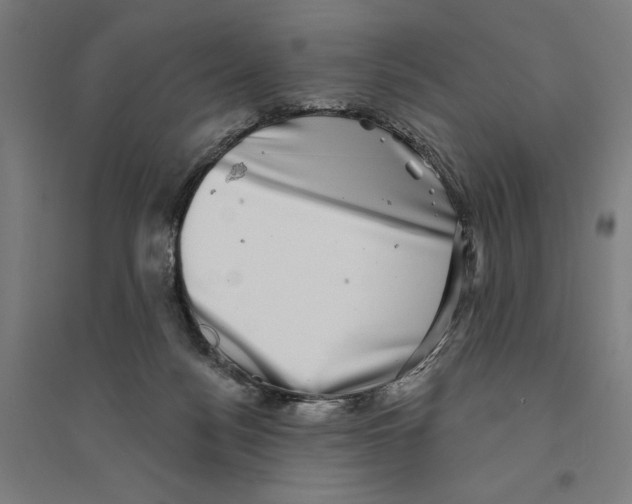X0000094350172200711301410