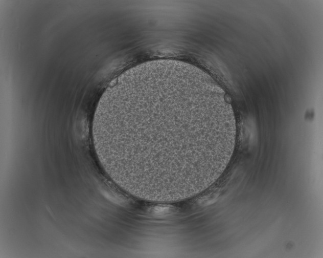 X0000094350173200711301410