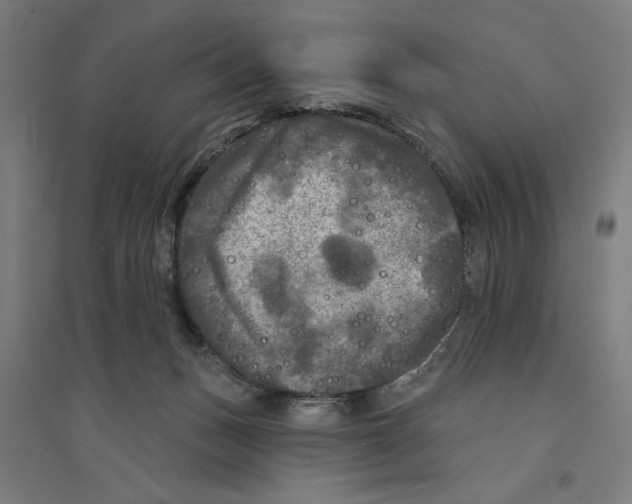 X0000094350175200711301410