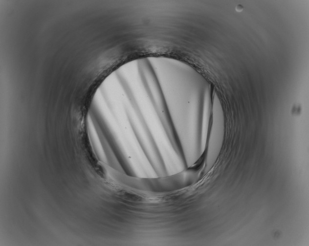 X0000094350176200711301410